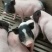 自家养殖巴马香猪苗自养自销新出栏一批小香猪苗疫苗接种完