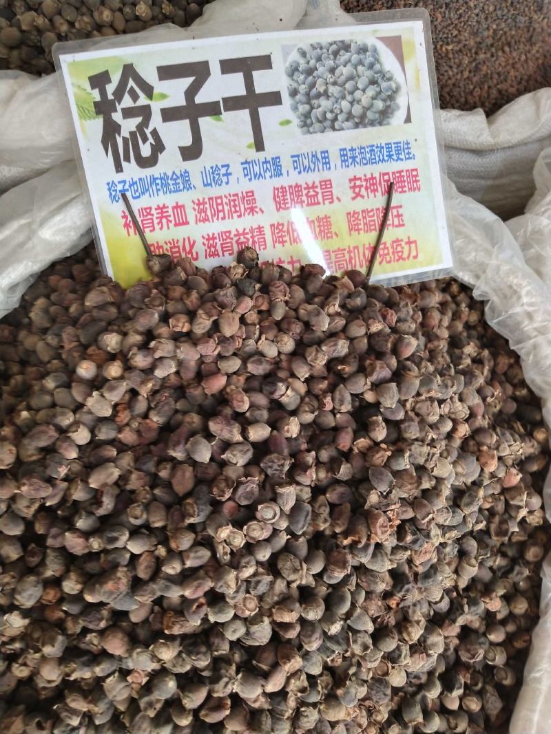 中药材捻子干，桃金娘，新货上市批发零售产地发货