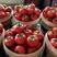 硬粉西红柿大量上市中，望新老客户前来订购