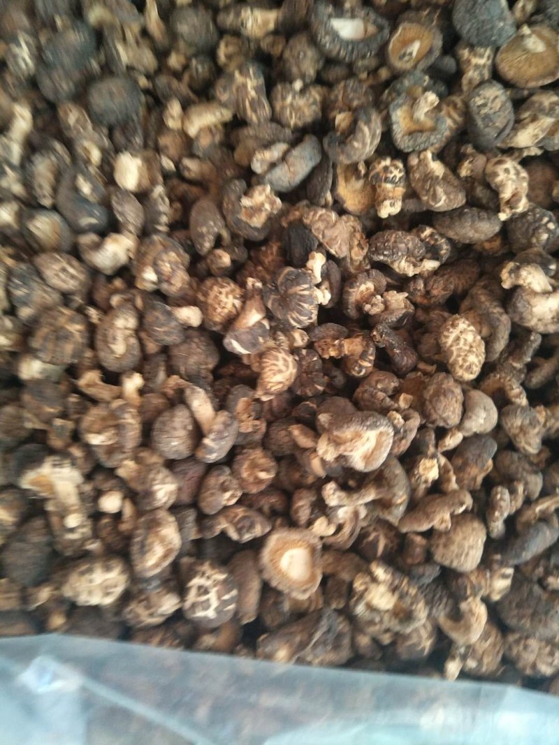 香菇批发有需要的联系我
