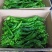 大量供应陕西精品罗丝椒，品种有，飞跃，龙椒43量大从优