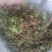 回心草～新货干净～产地现货～量大优惠～1公斤起售～