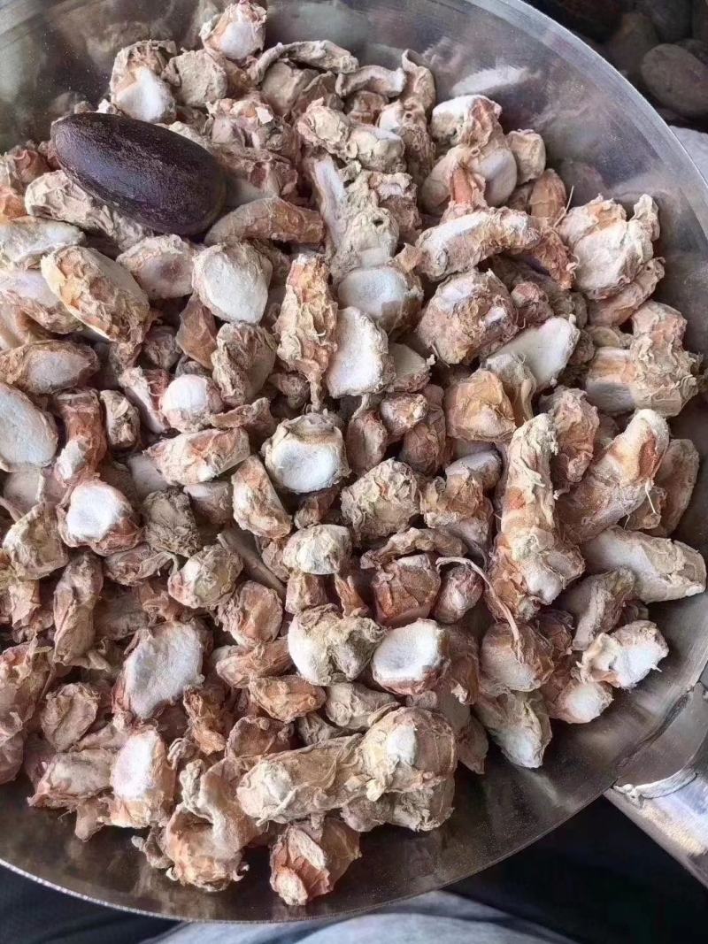国产阳春山奈大山奈火锅底料进店一站式采购山奈