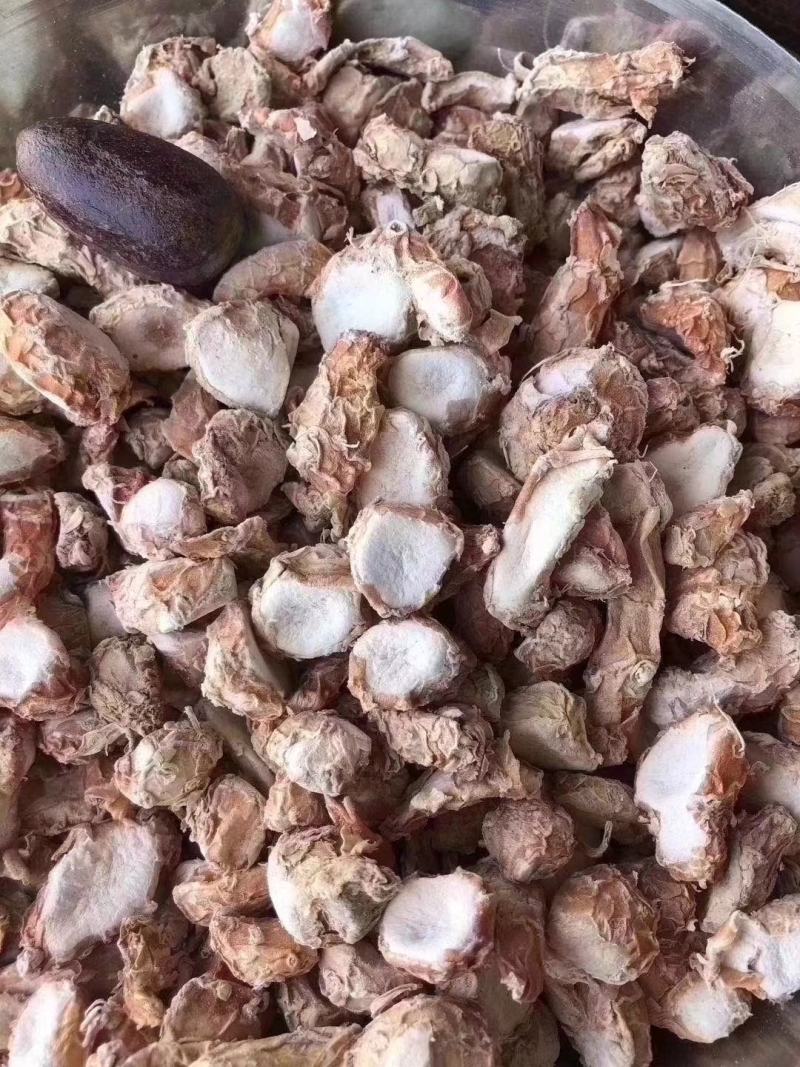 国产阳春山奈大山奈火锅底料进店一站式采购山奈