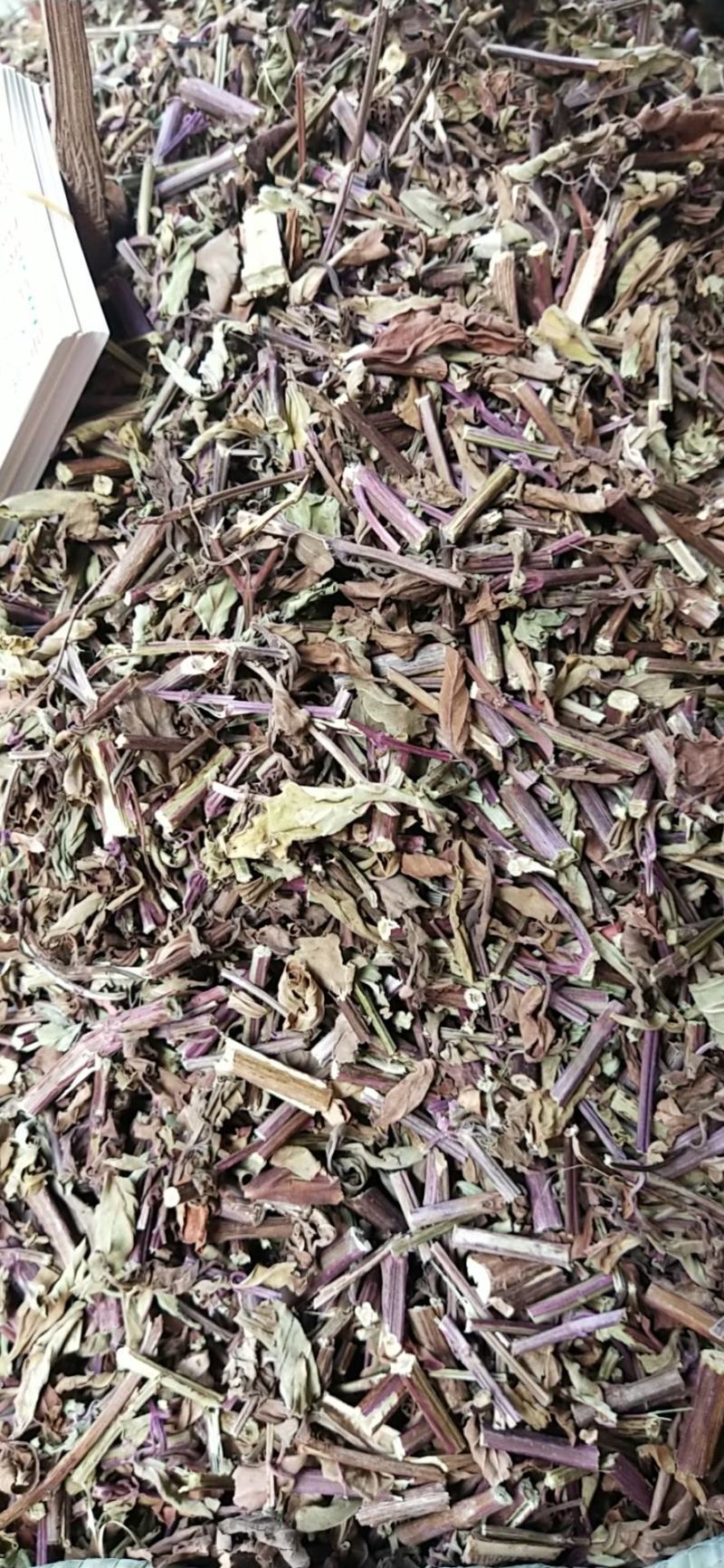 猫须草2020年新货产地直销量大优惠