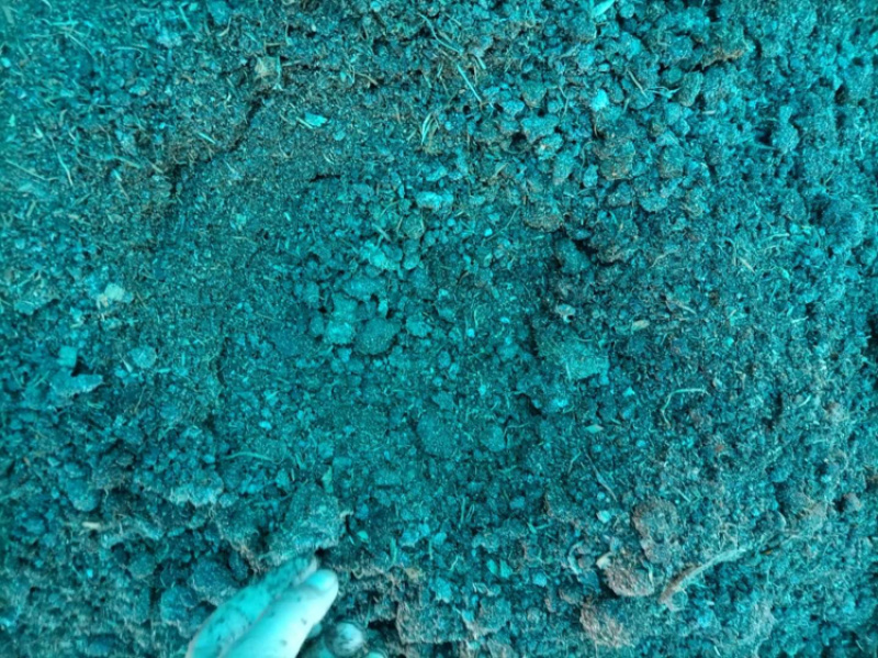 发酵牛粪奶牛粪有机肥蔬菜果树直接用