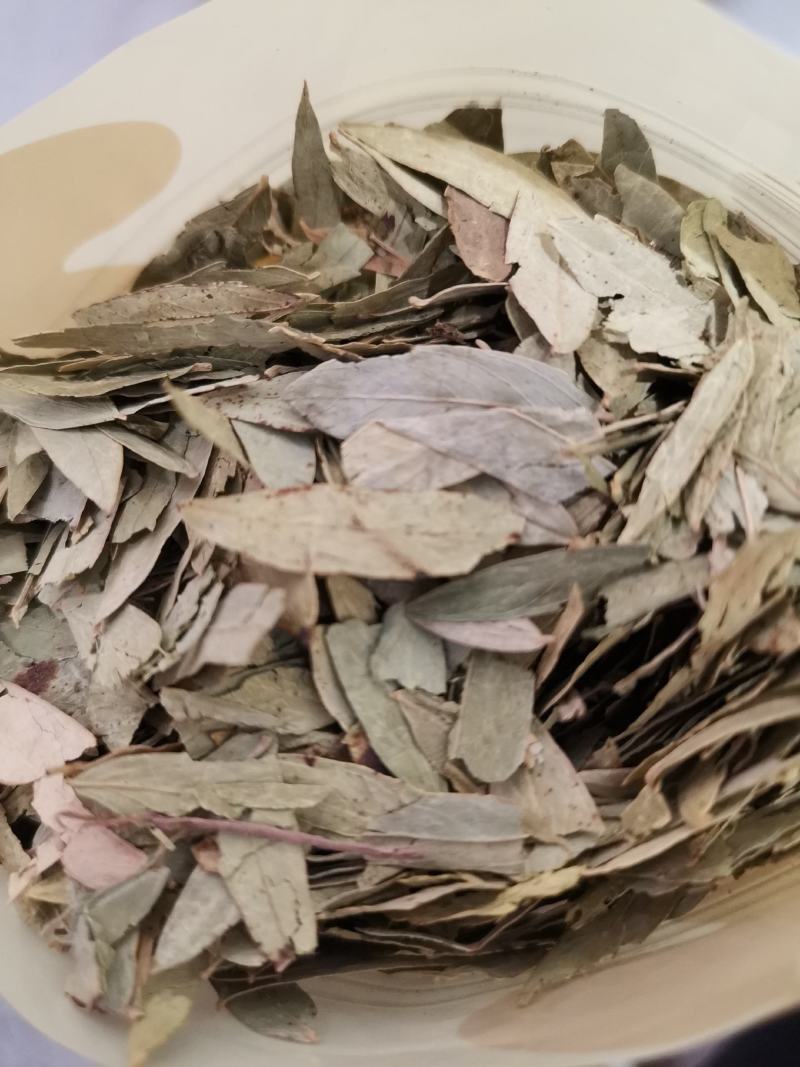番泻叶新货干净无杂一件代发大量供应