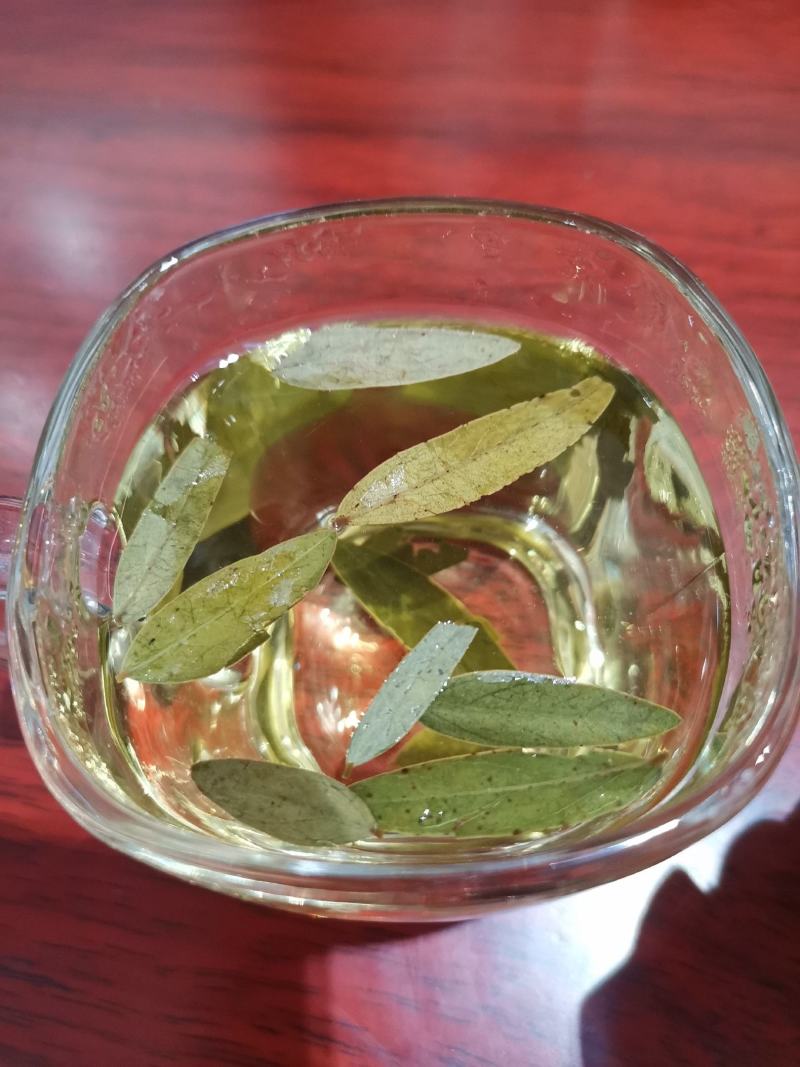 番泻叶新货干净无杂一件代发大量供应