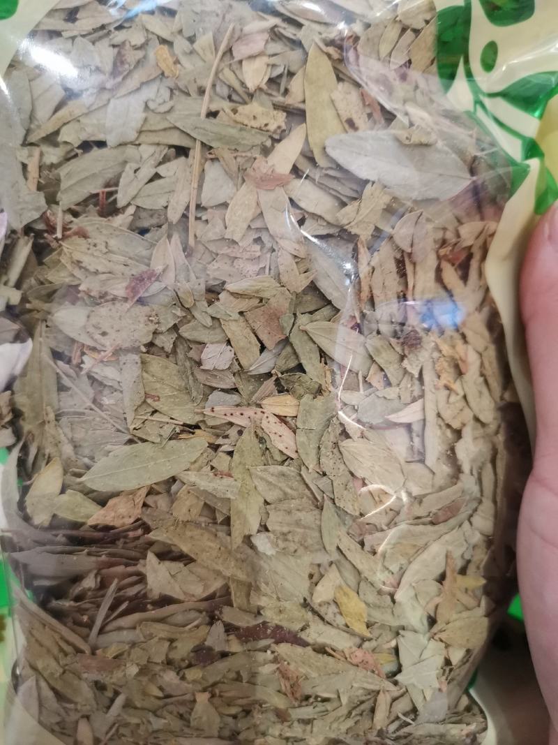 番泻叶新货干净无杂一件代发大量供应