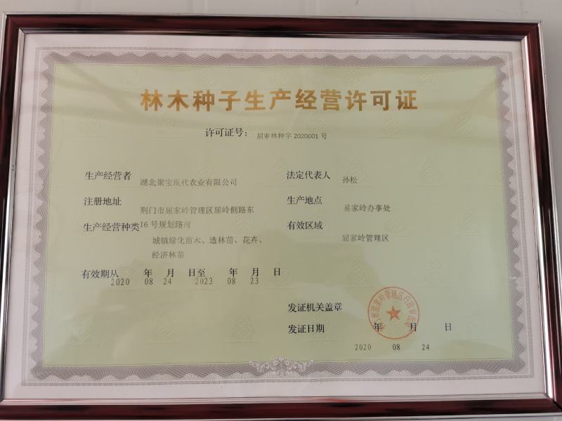 聚宝农业精品蓝莓苗组培苗