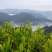 高山生态茶石门银峰