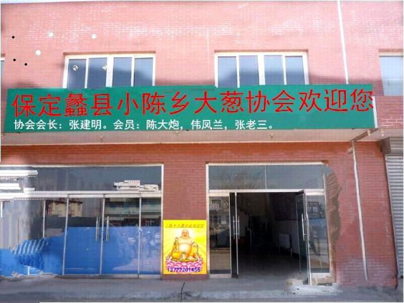 高洁白大葱，封沟拢万亩大葱批发基地欢迎各地客商