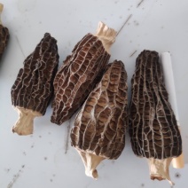 优质羊肚菌干品，价格实惠