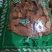菝葜也叫金刚藤河南干货2斤起包邮量大从优