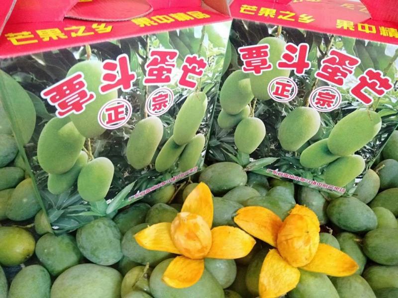 覃斗鸡蛋芒果苗（广成果树苗场）