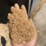 饲料大麦芽根，蛋白26以上
