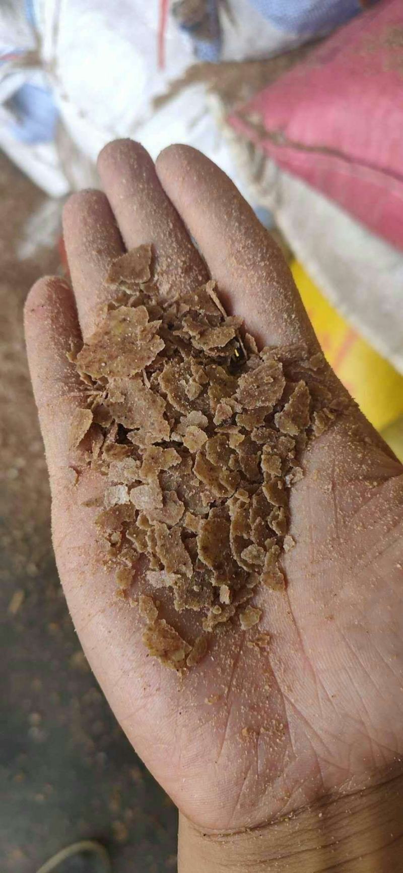 花生饼，纯仁，薄片，量大从优