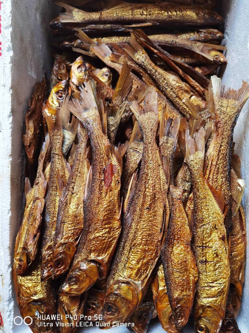生态翘嘴鱼干，腌制蒸煮熏干