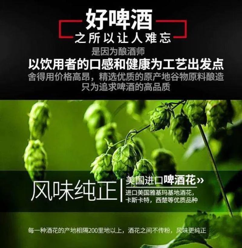 青岛特产扎啤桶装12P鲜活原浆啤酒，O元加盟，寻求合作！