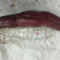 紫薯，特价便宜，纯沙土种植