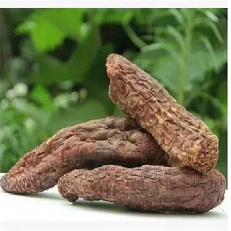 肉苁蓉大芸，产地直销一手货源质量放心