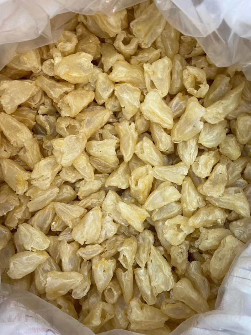 40头精品石斑鱼鱼胶