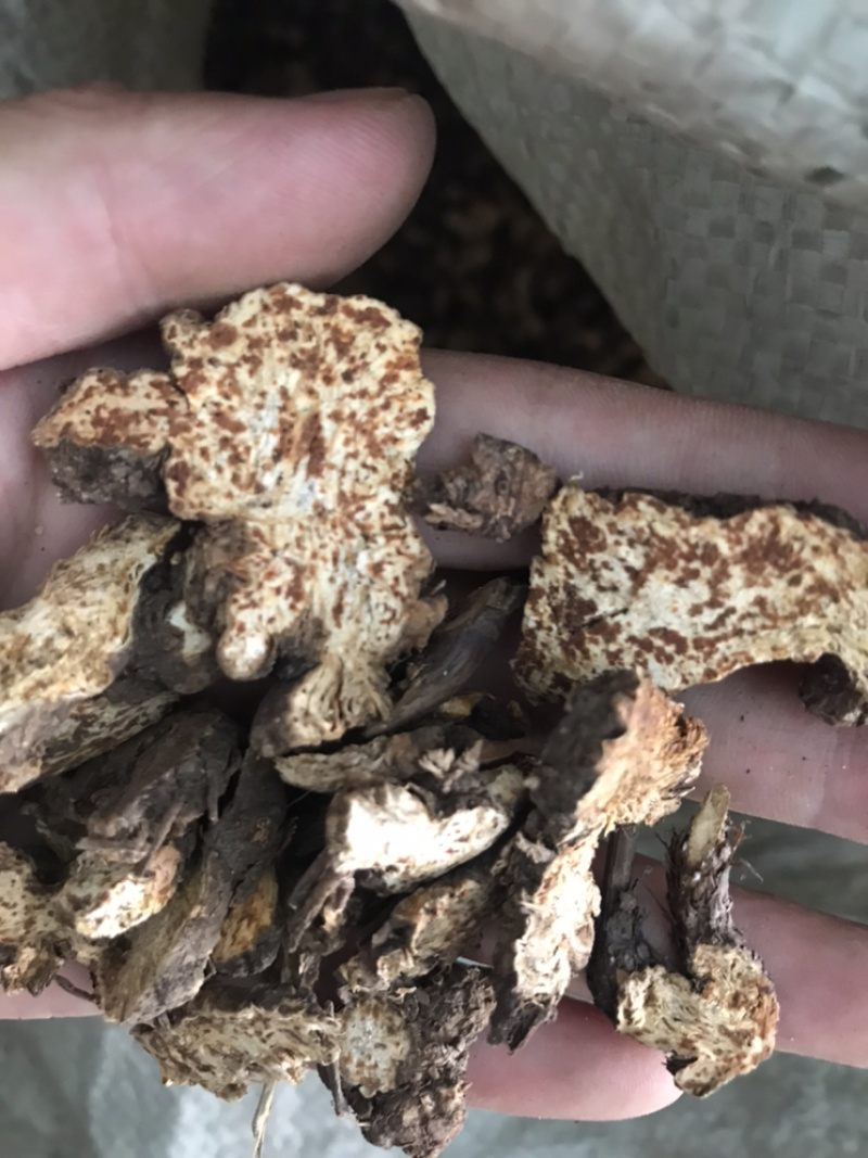 【货对版气味浓】苍术朱砂点苍术正品生苍术干货苍术片