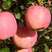 苹果树苗新品种晚熟品种烟富8黑钻冰糖心等品种苹果苗