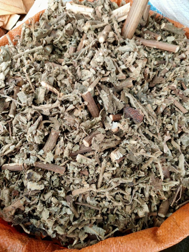 广西野生中药材大风，艾纳香，牛耳艾大风叶大枫草