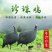 广东孵化场珍珠鸡苗出售,珍珠鸡苗出壳包打疫苗,全国发货