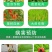 35%异菌腐霉利含量灰霉病菌核病杀菌剂禾宜产品原厂原证