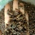 【傲宇药材】香附选装货，量大从优，品质保证