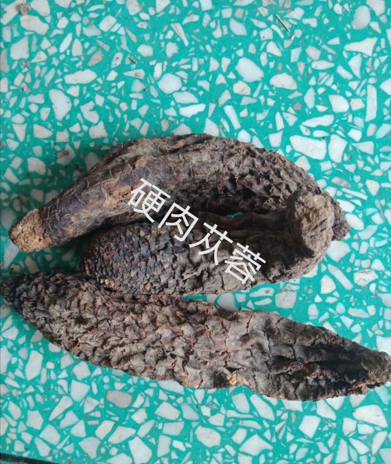 新疆管花肉苁蓉整支大芸油苁蓉泡水泡酒各种规格肉苁蓉片