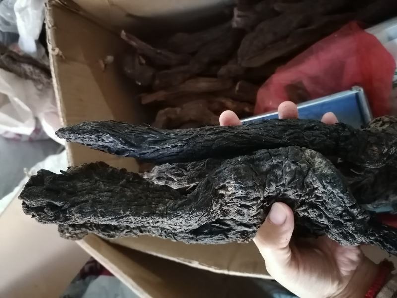 新疆管花肉苁蓉整支大芸油苁蓉泡水泡酒各种规格肉苁蓉片