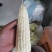 万糯2000大量上市，市场货有一千亩，精品