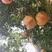 突尼斯软籽石榴苗大石榴树3公分当年结果软籽石榴树