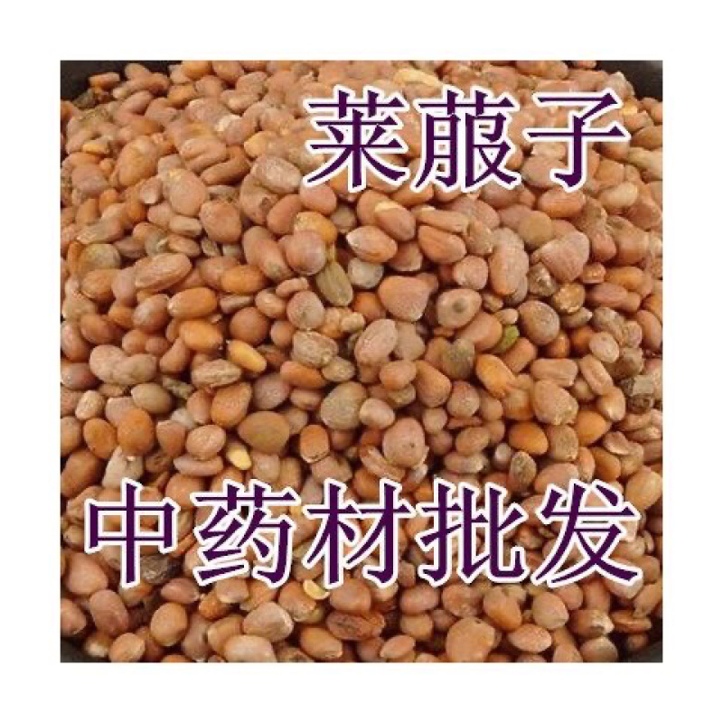 莱菔子一手货源产地直销
