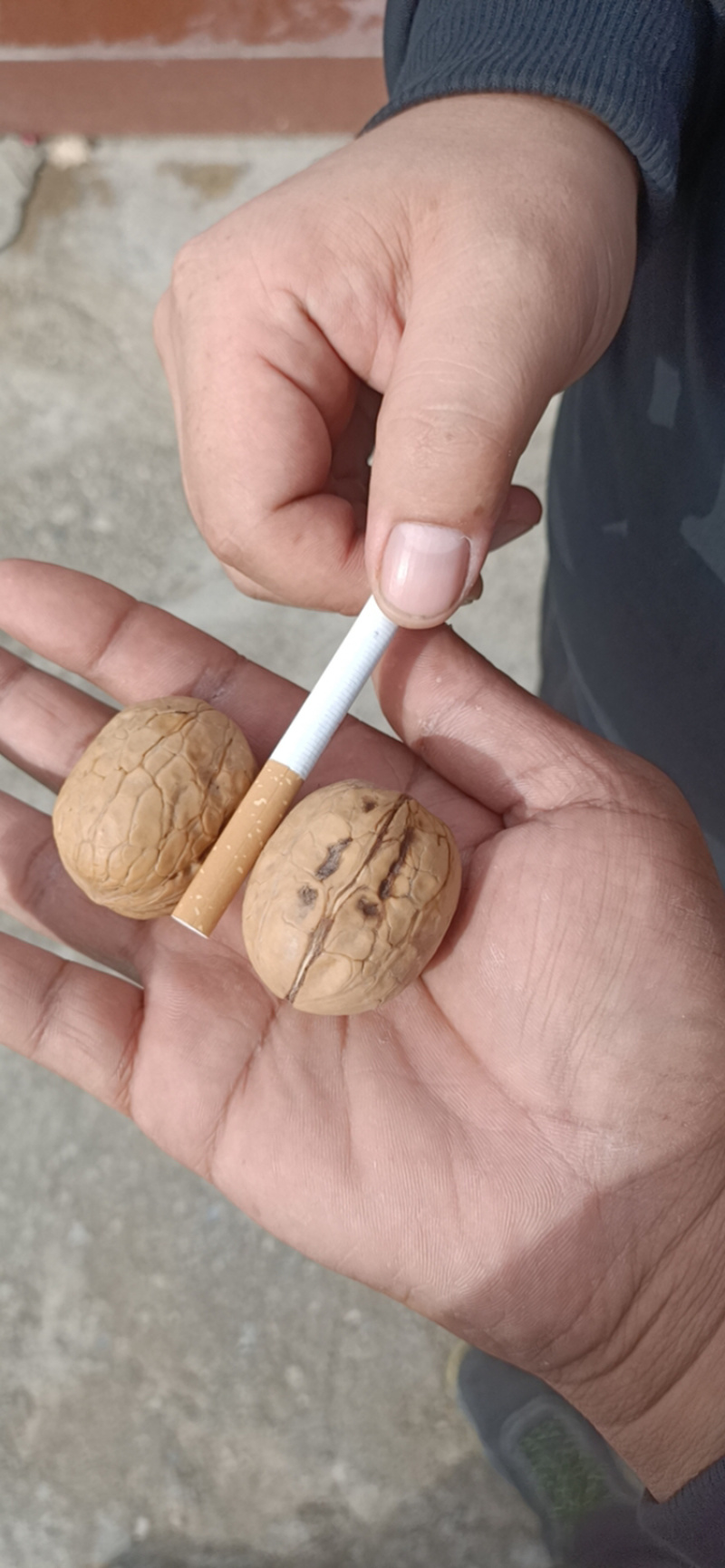 【纸皮核桃】2021年阿克苏纸皮核桃，皮薄仁厚，大量有货