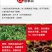 活菌根多多生根壮苗有机水溶肥生根快提苗快抗重茬低温生根快