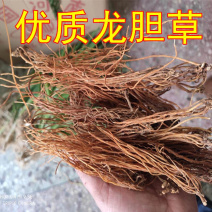 龙胆草一手货源产地直销