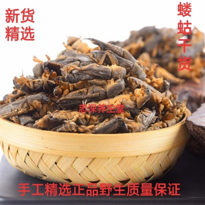 蝼蛄一手货源产地直销