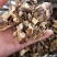 中药材金雀儿根金雀根土黄芪大货供应批发零售