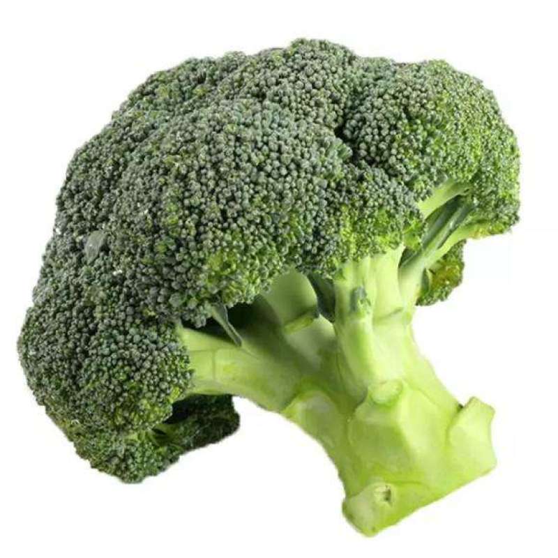 精选西蓝花炎秀耐寒**可供超市市场品质保证新鲜直发