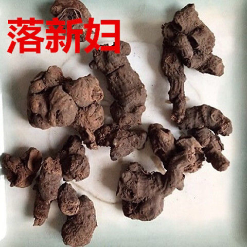 落新妇一手交货产地直销