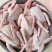 【精品🐦】精品白条鸽厂家直销一手货源现杀现发保质保量