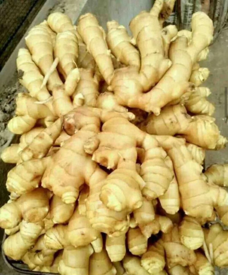 蔬菜