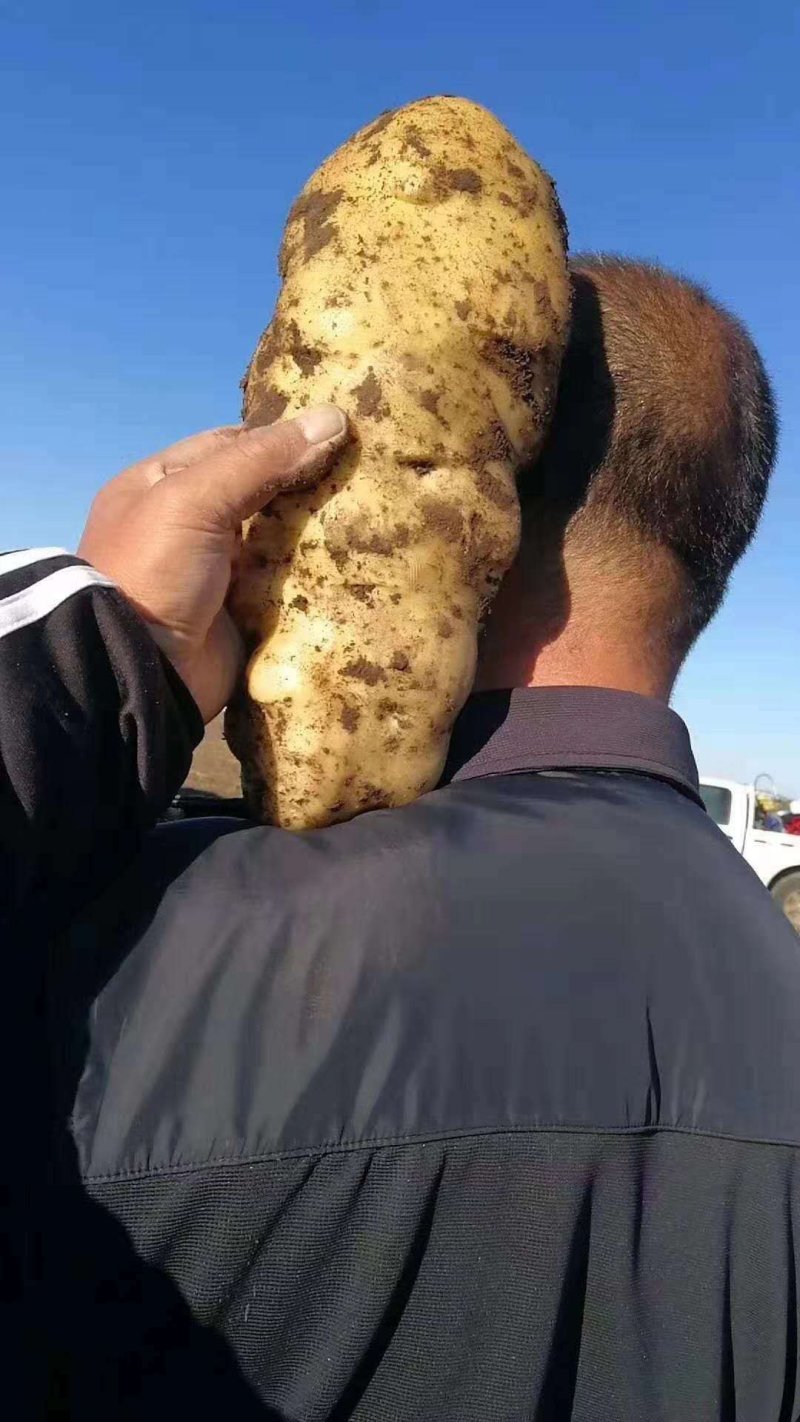 蔬菜
