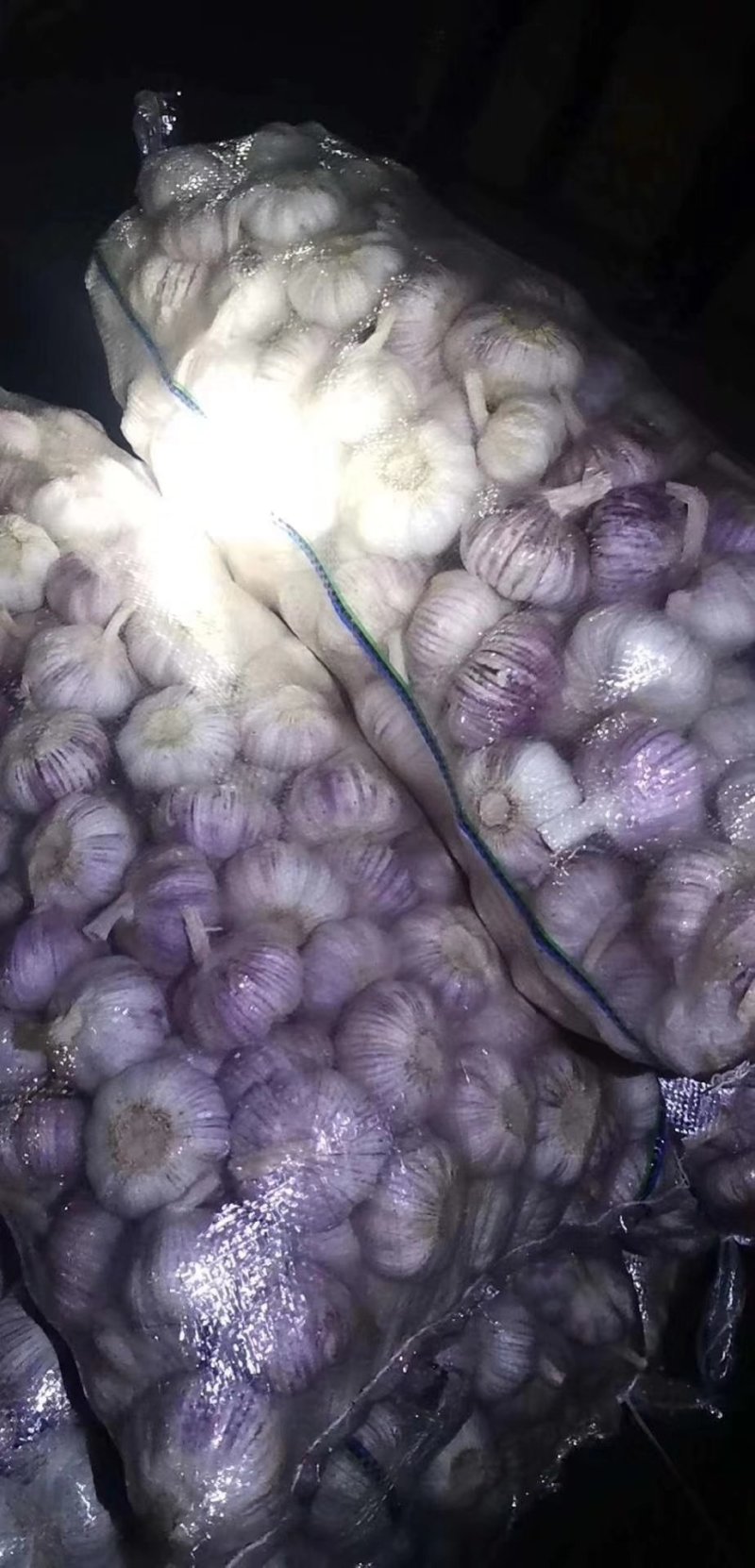 蔬菜