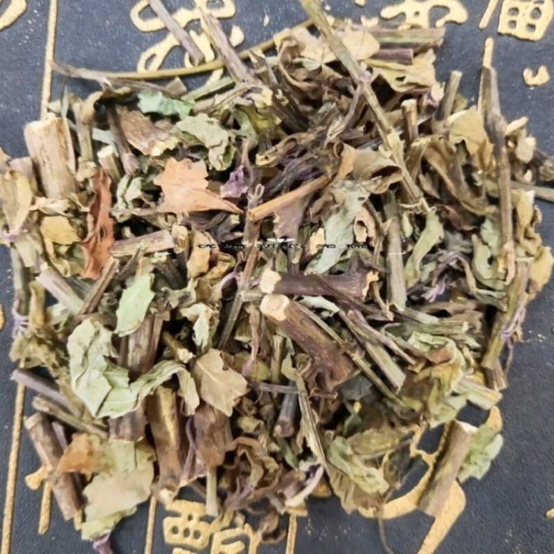 猫须草一手货源产地直销