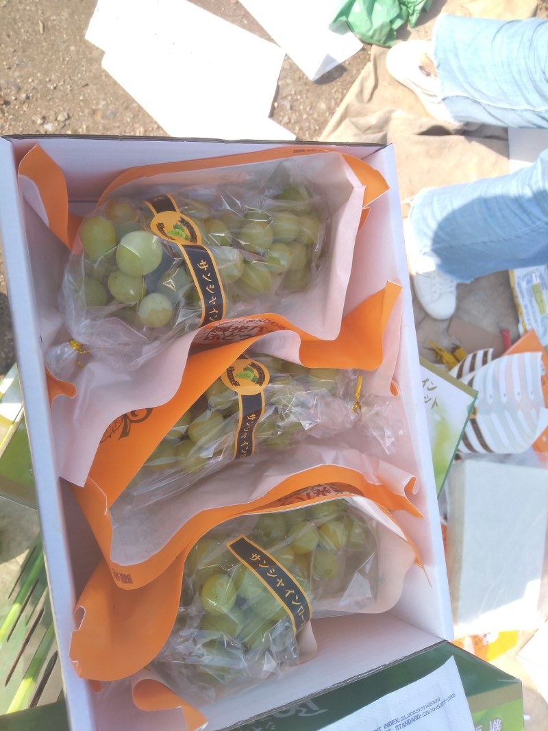 阳光玫瑰葡萄粒大味甜糖度高香味独特